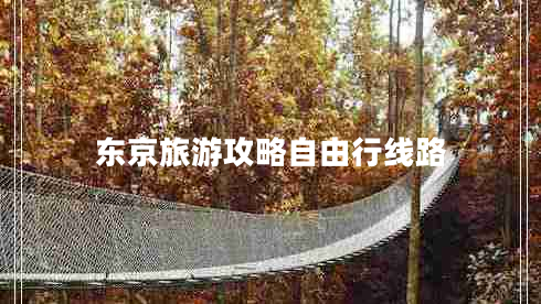 東京旅游攻略自由行線(xiàn)路