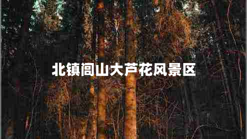 北鎮閭山大蘆花風(fēng)景區