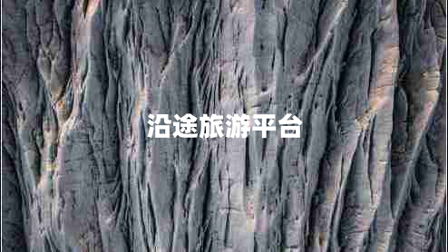 沿途旅游平臺