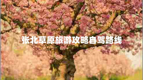 張北草原旅游攻略自駕路線(xiàn)