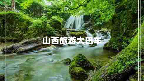 山西旅游大巴車(chē)