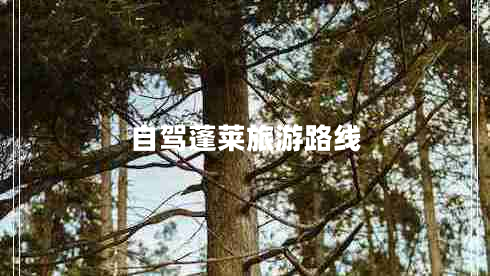 自駕蓬萊旅游路線(xiàn)