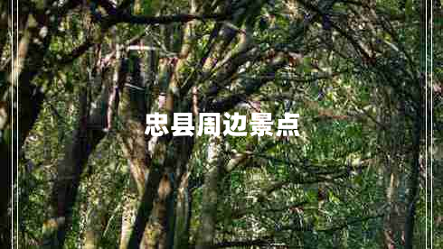 忠縣周邊景點(diǎn)