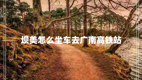 壩美怎么坐車(chē)去廣南高鐵站