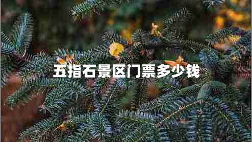 五指石景區門(mén)票多少錢(qián)