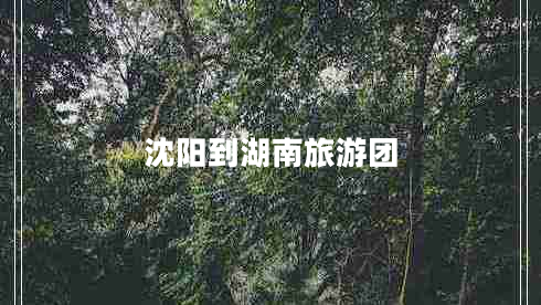 沈陽(yáng)到湖南旅游團