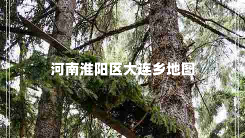 河南淮陽(yáng)區大連鄉地圖