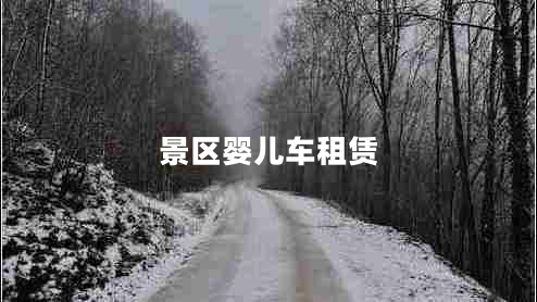 景區嬰兒車(chē)租賃