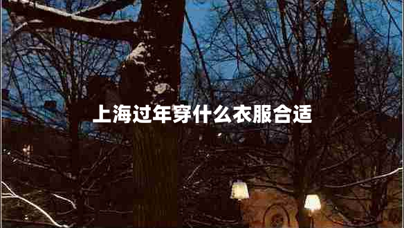 上海過年穿什么衣服合適