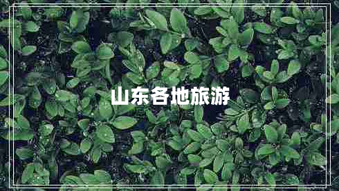山東各地旅游