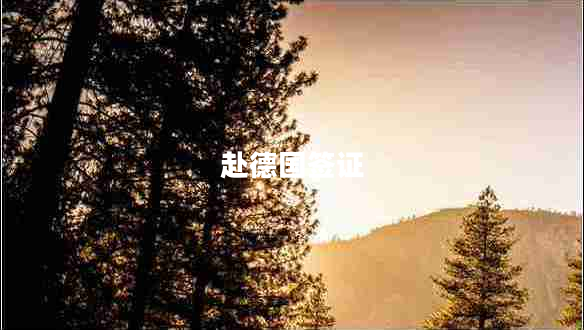 赴德國簽證