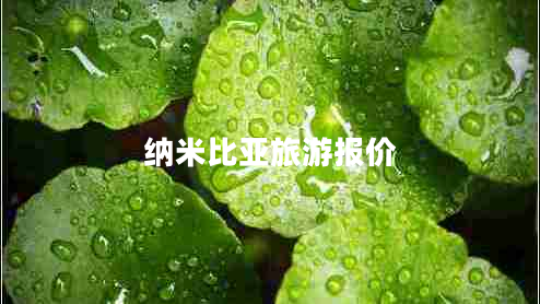 納米比亞旅游報(bào)價(jià)