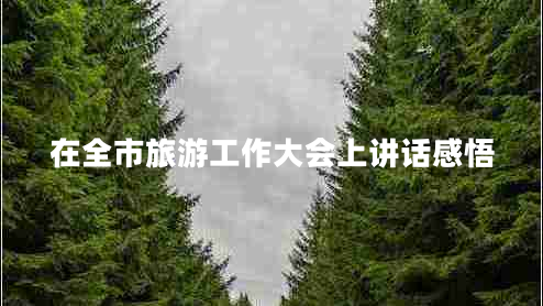 在全市旅游工作大會(huì )上講話(huà)感悟