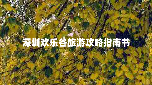 深圳歡樂(lè )谷旅游攻略指南書(shū)