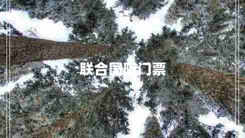 聯(lián)合國際門(mén)票
