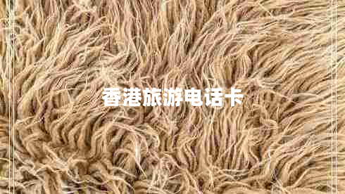 香港旅游電話(huà)卡