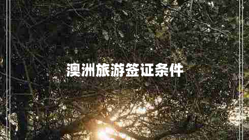 澳洲旅游簽證條件