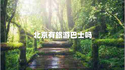 北京有旅游巴士嗎