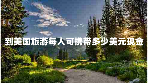 到美國旅游每人可攜帶多少美元現金