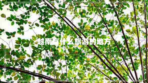 越南有什么旅游的地方
