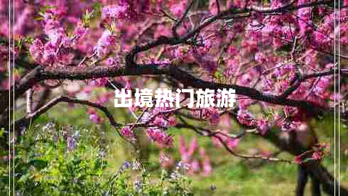 出境熱門(mén)旅游