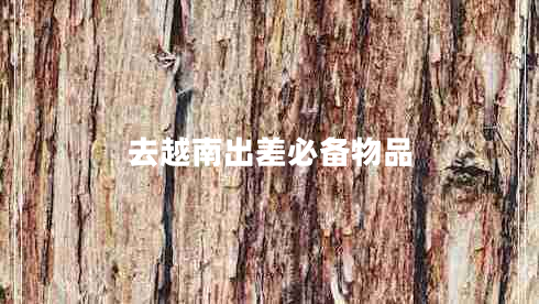去越南出差必備物品