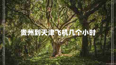 貴州到天津飛機幾個(gè)小時(shí)