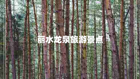 麗水龍泉旅游景點(diǎn)
