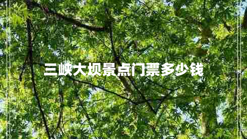 三峽大壩景點(diǎn)門(mén)票多少錢(qián)