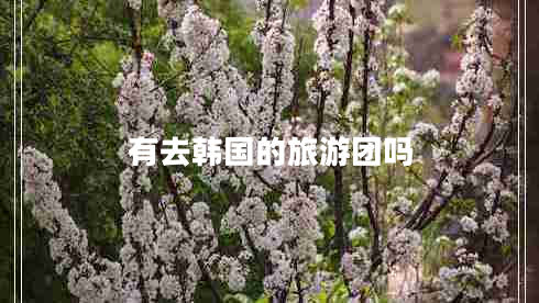 有去韓國的旅游團嗎