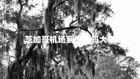 芝加哥機場(chǎng)到芝加哥大學(xué)