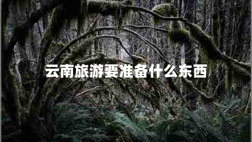 云南旅游要準備什么東西