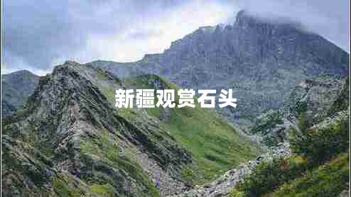 新疆觀(guān)賞石頭