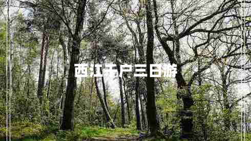 西江千戶(hù)三日游