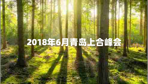 2018年6月青島上合峰會(huì )