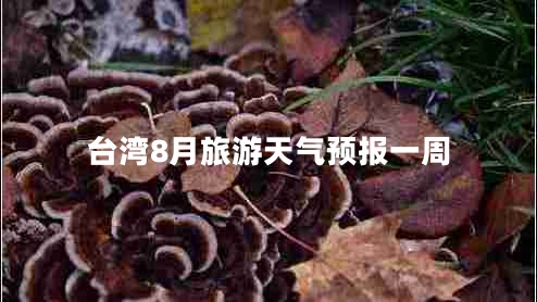 臺灣8月旅游天氣預報一周