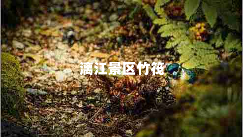 漓江景區竹筏