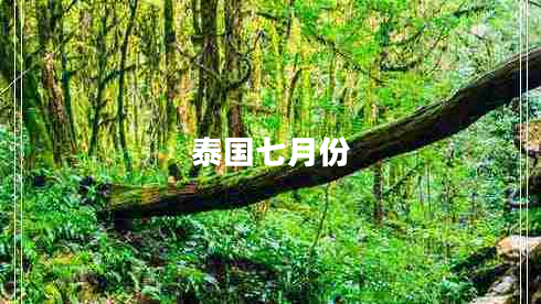 泰國七月份