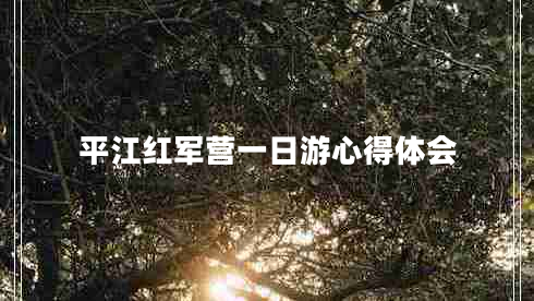 平江紅軍營(yíng)一日游心得體會(huì)