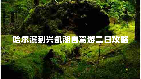 哈爾濱到興凱湖自駕游二日攻略