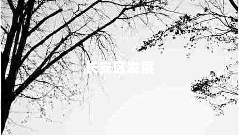 長(cháng)安區發(fā)展