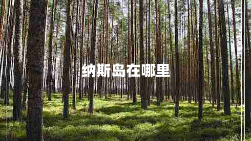 納斯島在哪里