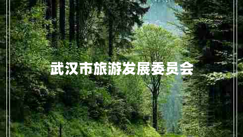 武漢市旅游發(fā)展委員會(huì )