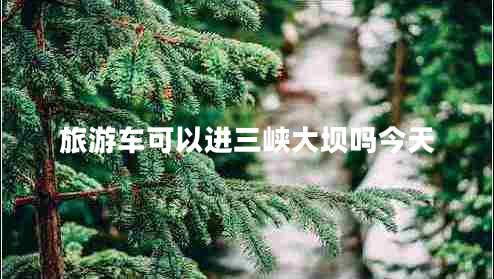 旅游車(chē)可以進(jìn)三峽大壩嗎今天