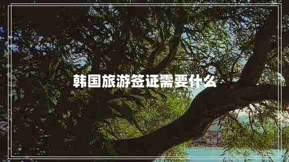韓國旅游簽證需要什么