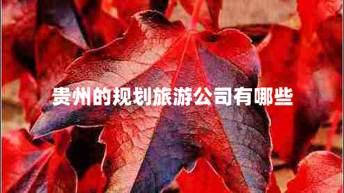 貴州的規劃旅游公司有哪些
