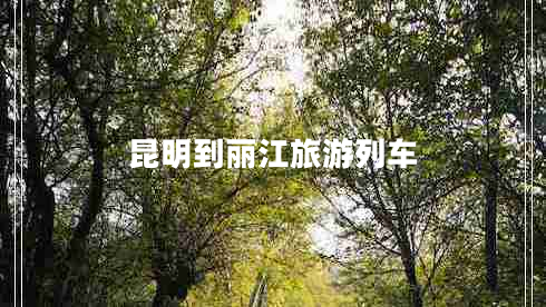 昆明到麗江旅游列車(chē)