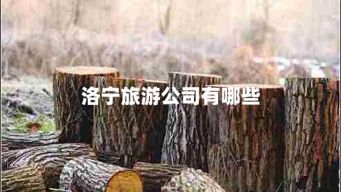 洛寧旅游公司有哪些