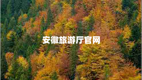 安徽旅游廳官網(wǎng)