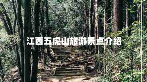 江西五虎山旅游景點(diǎn)介紹